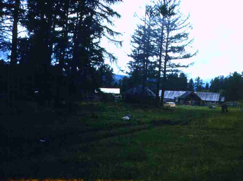 097.jpg