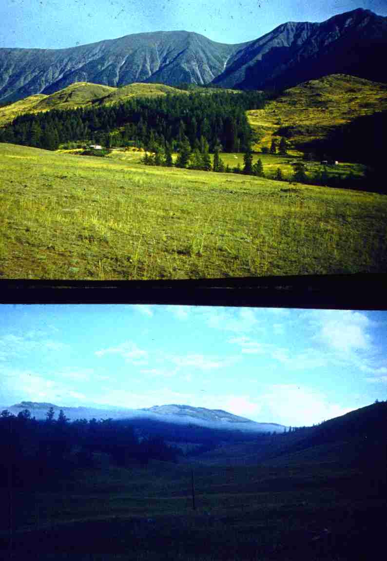 119.jpg
