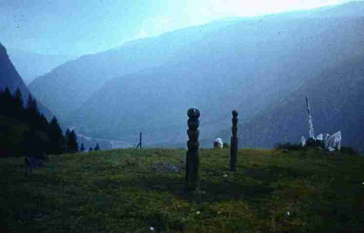126.jpg
