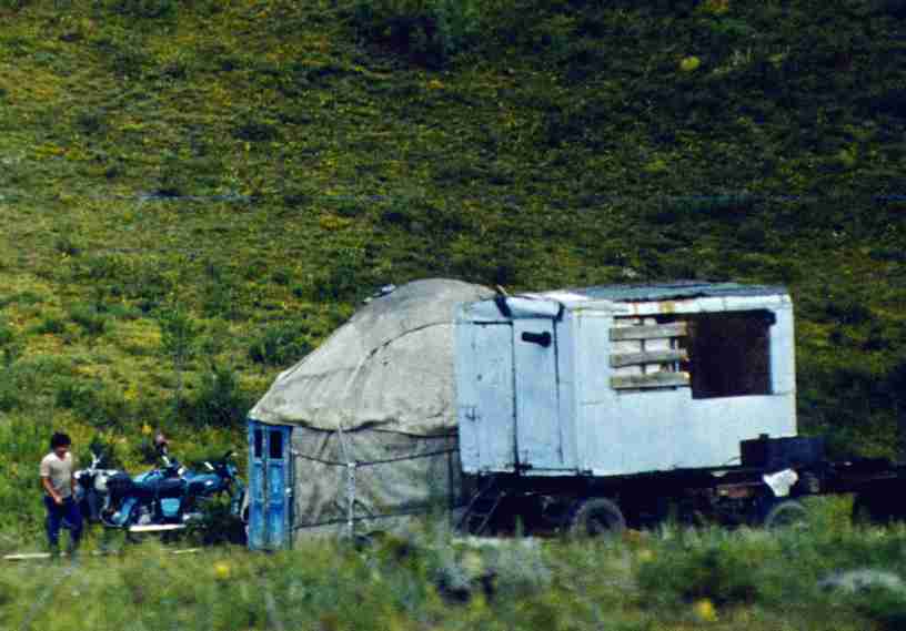 135.jpg