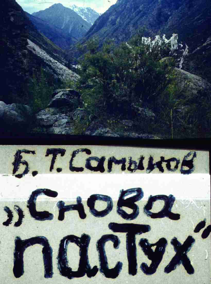 136.jpg