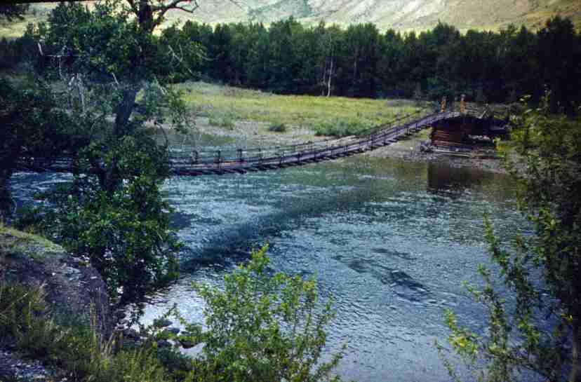 144.jpg
