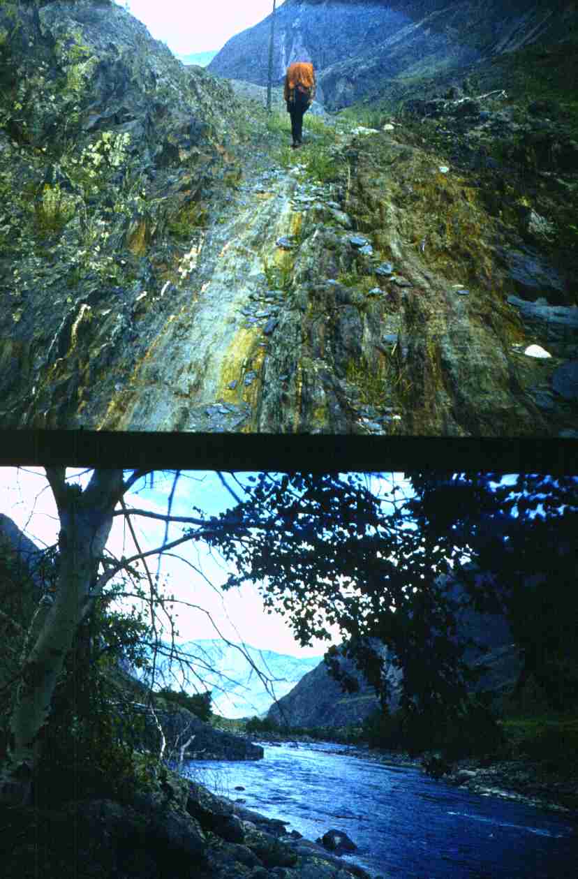 156.jpg