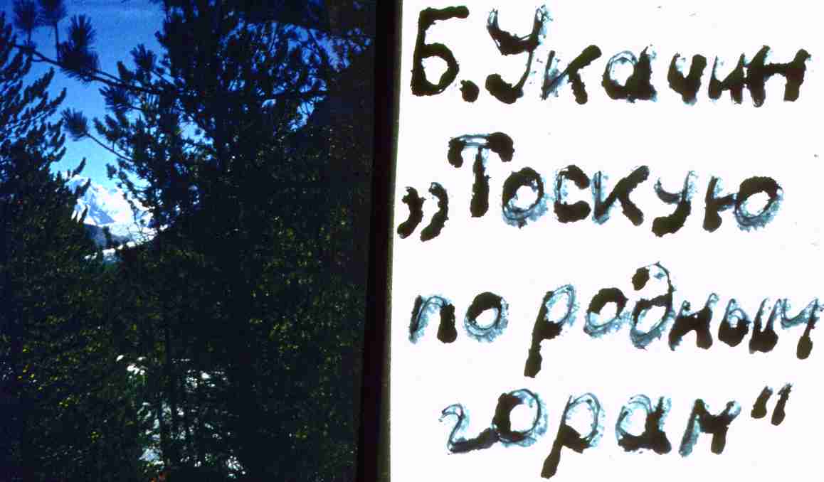 169.jpg