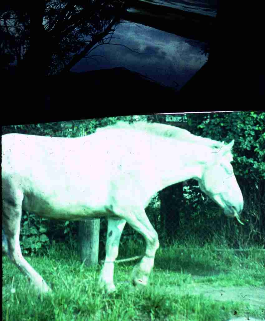 188.jpg