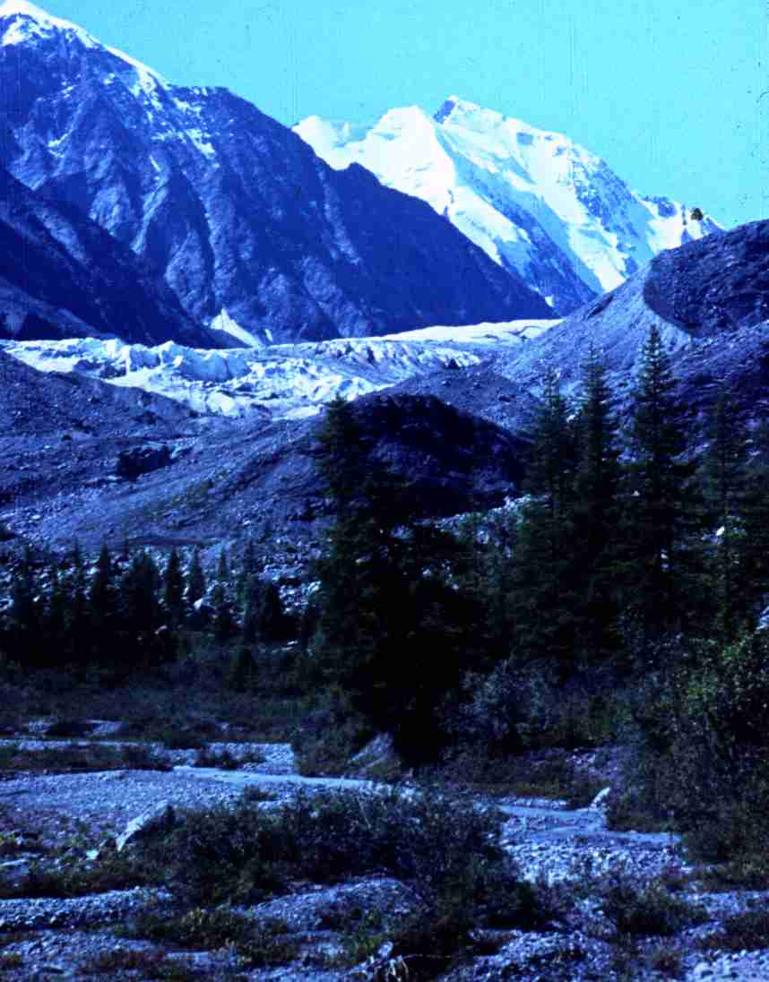 189.jpg