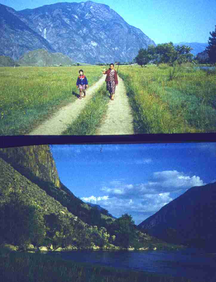 198.jpg