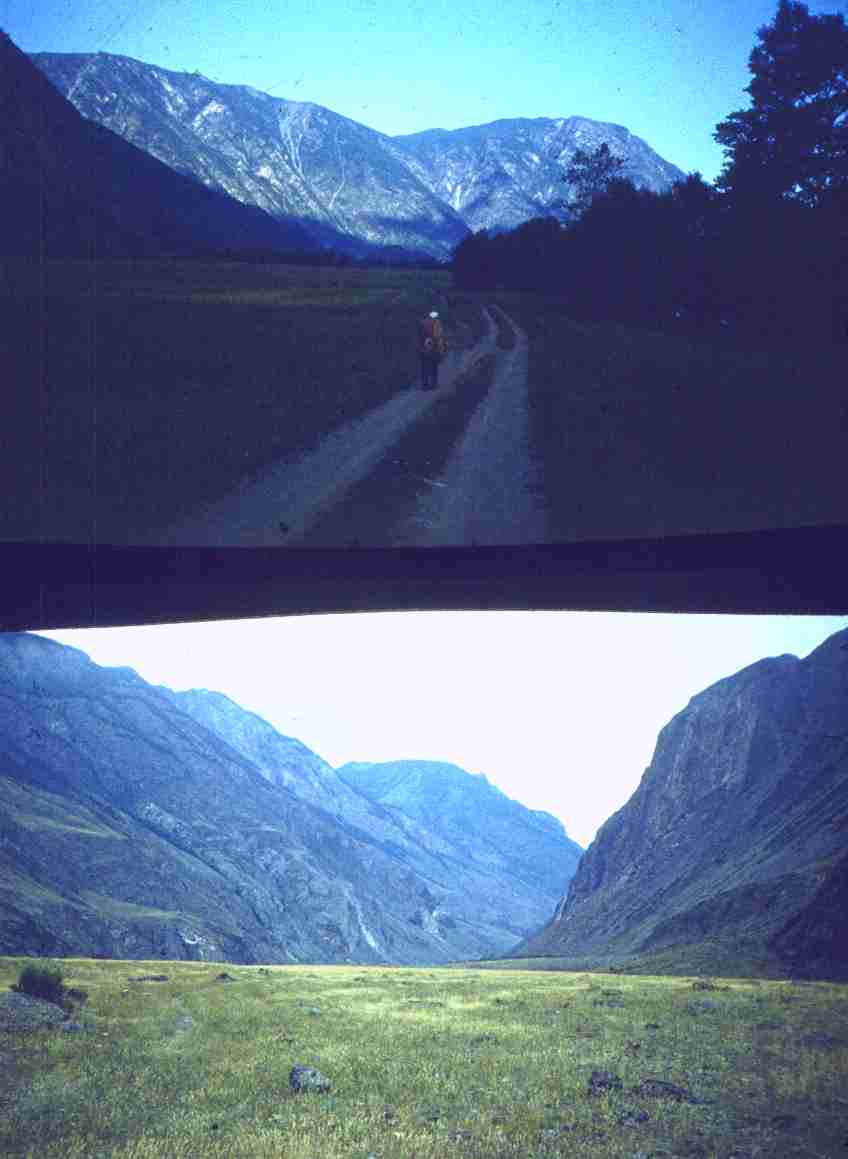 225.jpg
