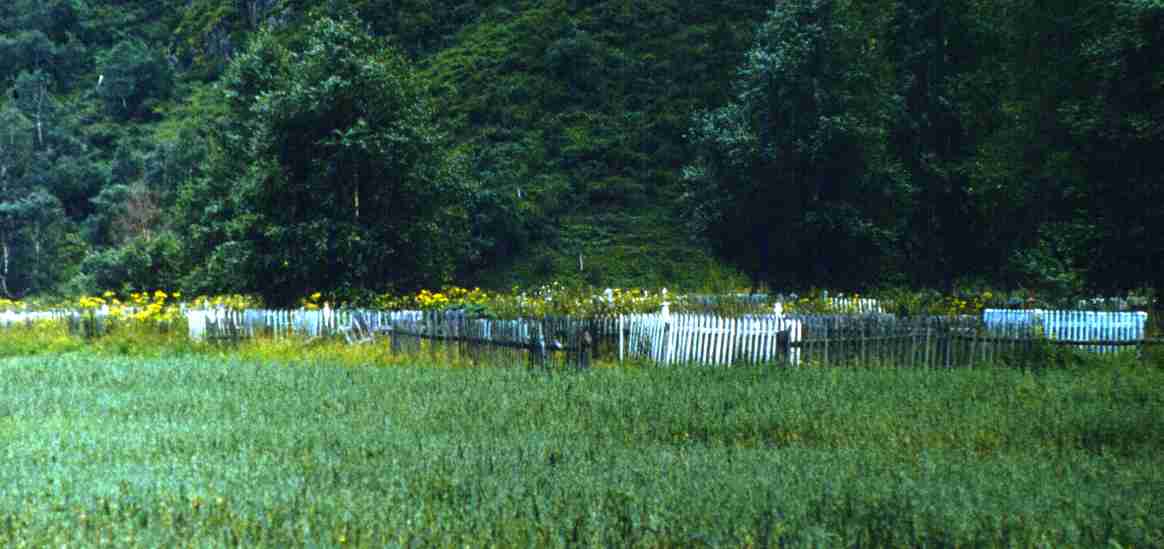 234.jpg