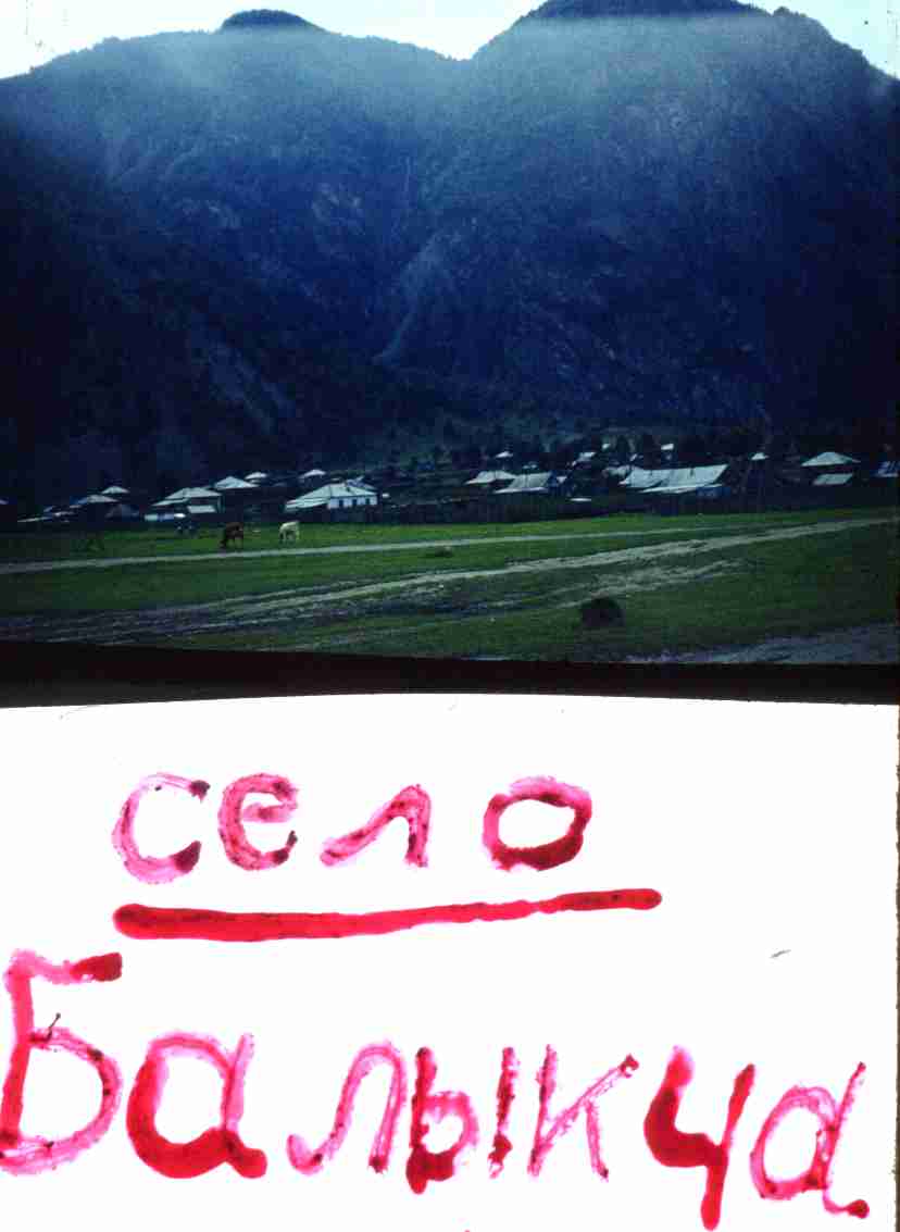 235.jpg