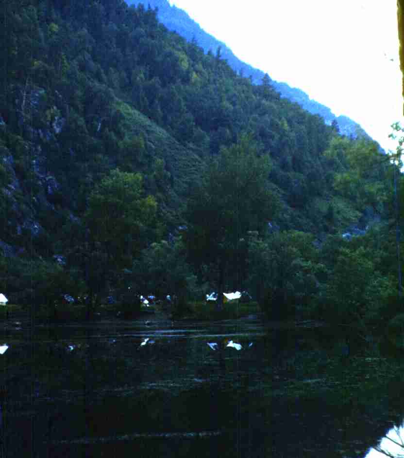 264.jpg