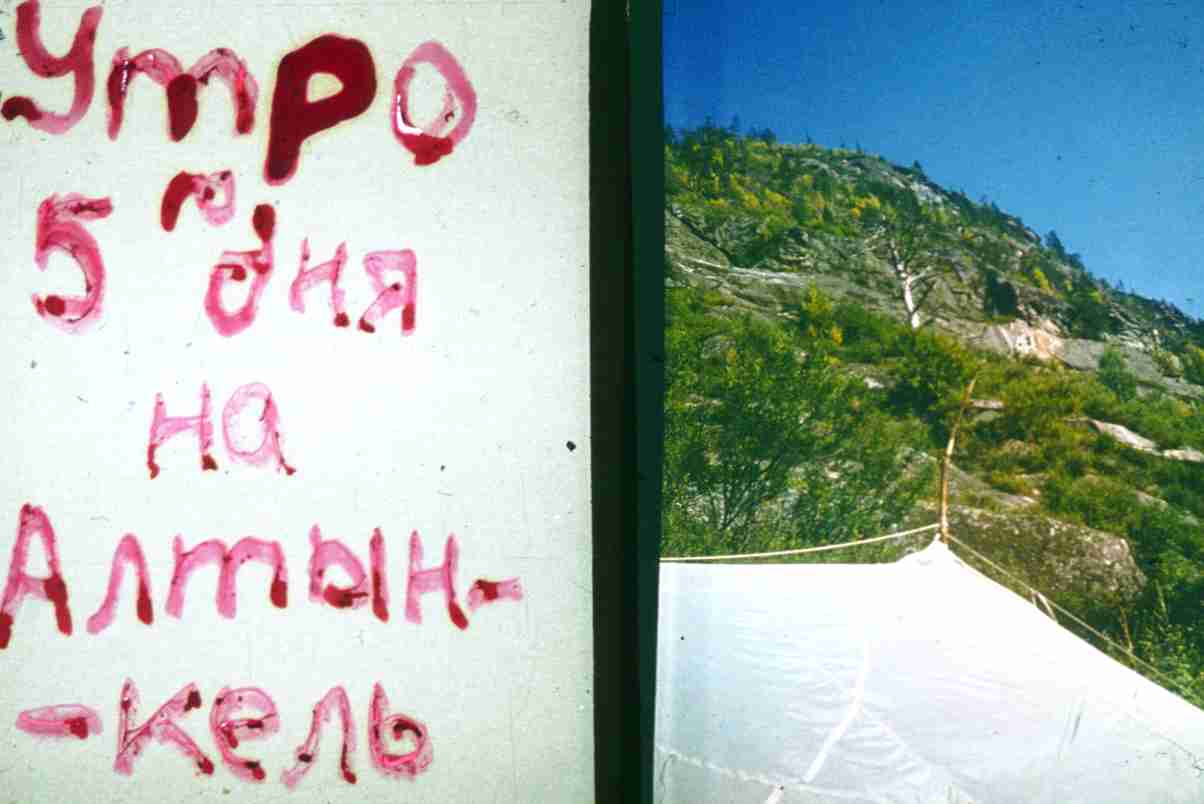 273.jpg
