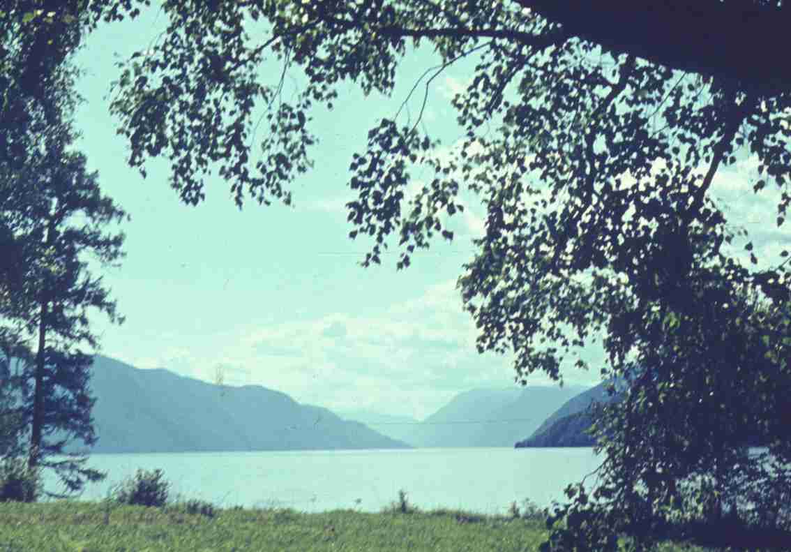 275.jpg
