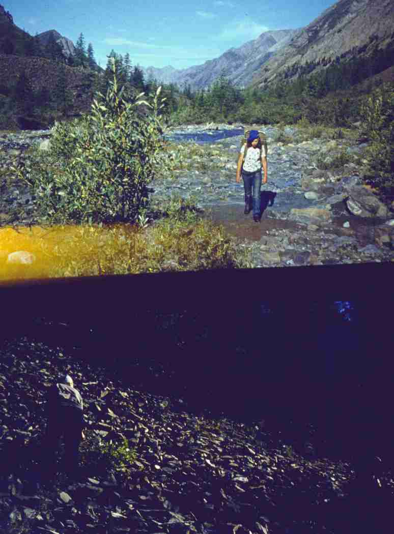 059-1.jpg