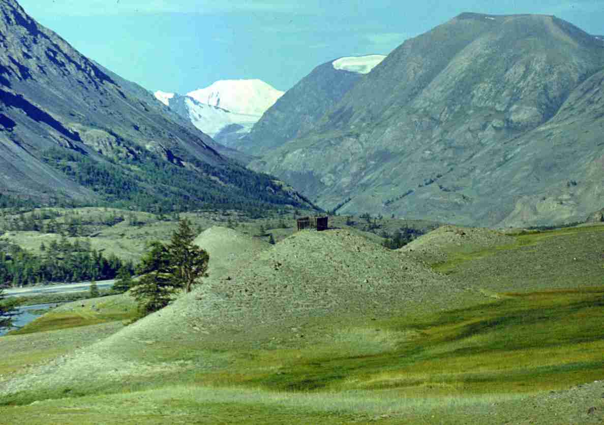 111.jpg