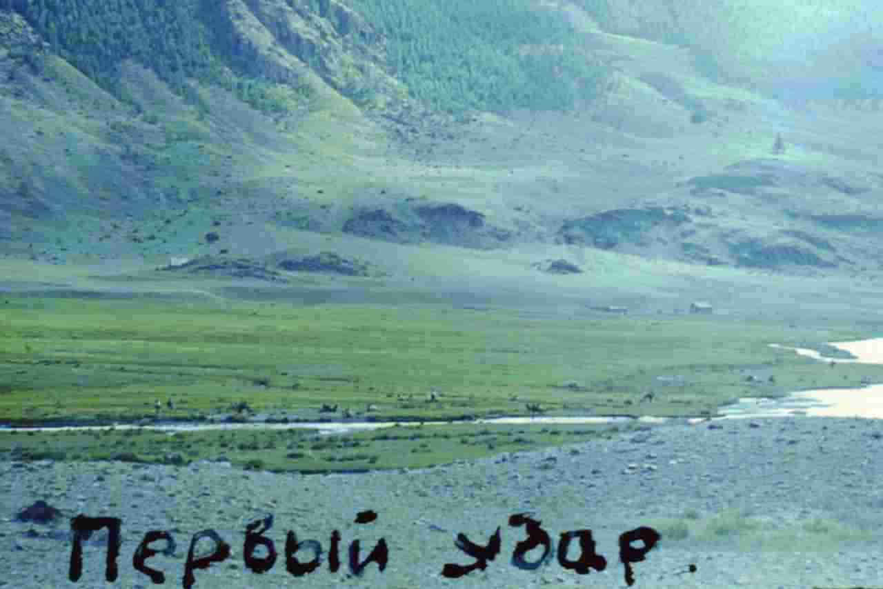 123.jpg