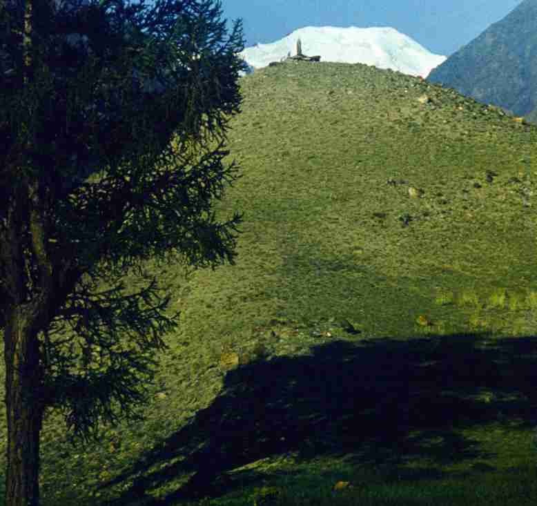 125.jpg