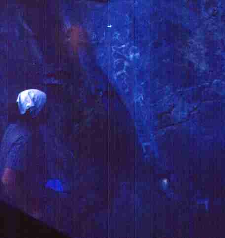 023-1.jpg