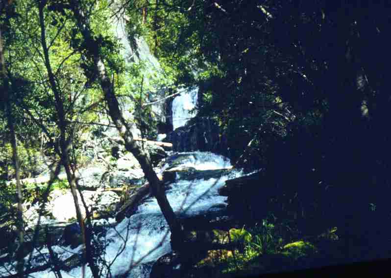 050.jpg