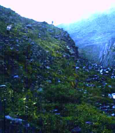 061-1.jpg