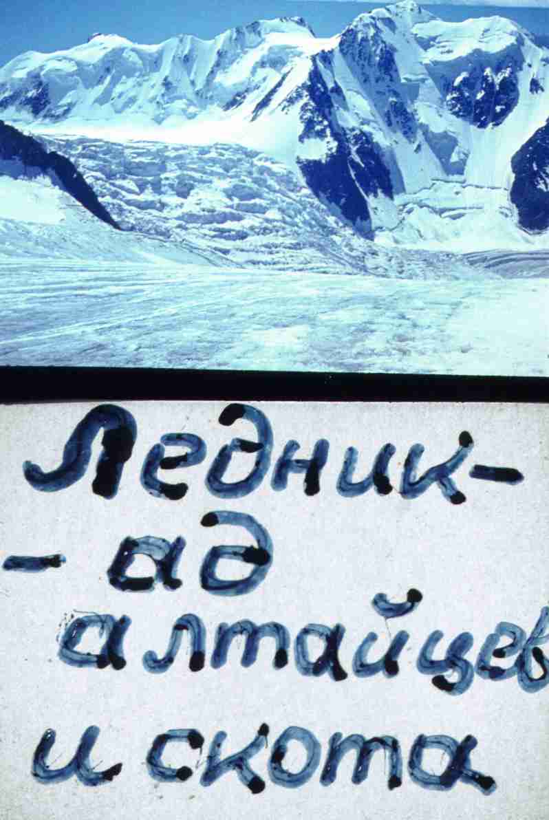 141.jpg