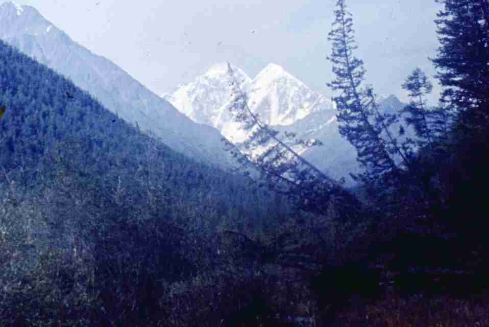 185.jpg
