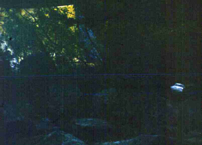 195.jpg