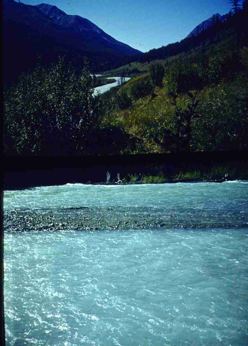 257.jpg