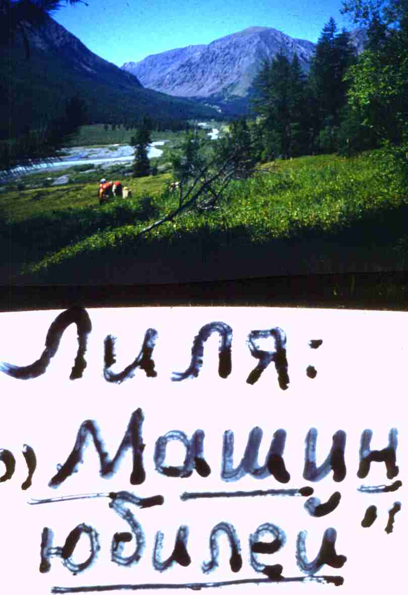 278.jpg