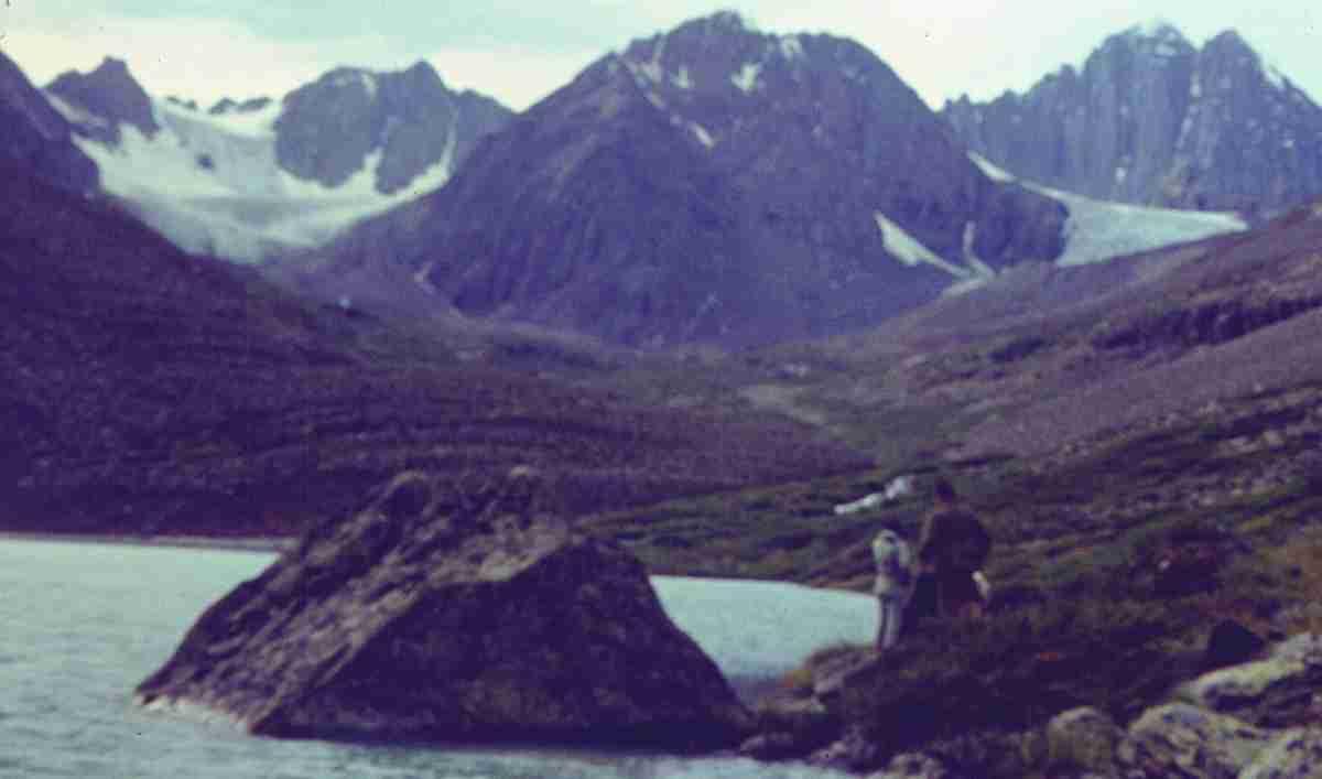 356.jpg