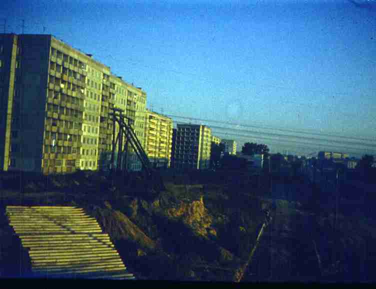 010.jpg