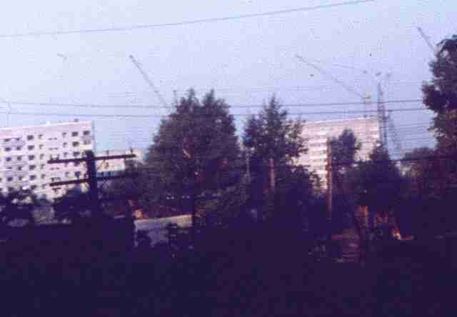 011.jpg