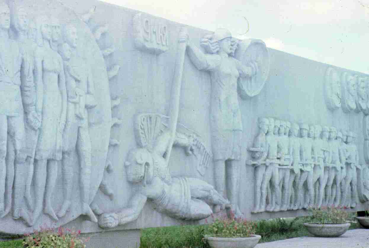 145.jpg