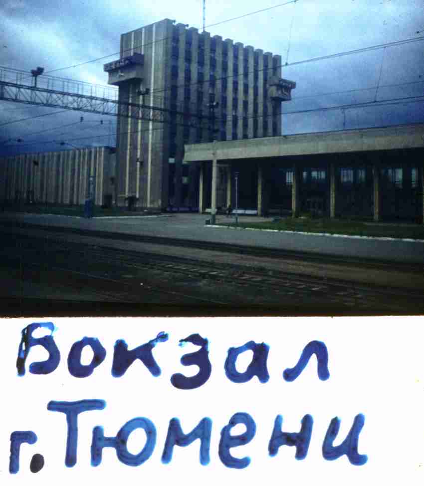 010.jpg
