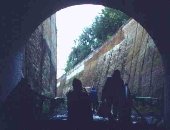 145.jpg