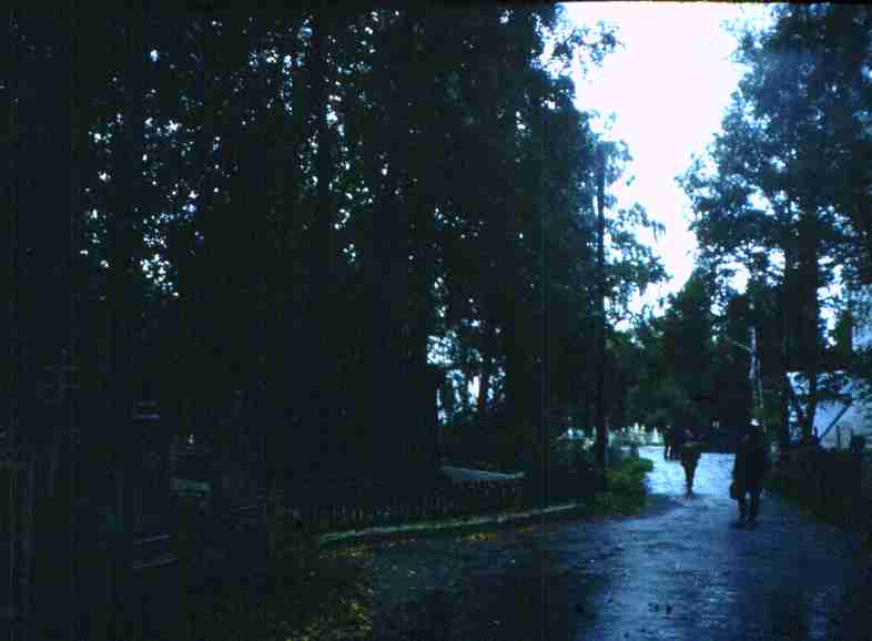 160.jpg