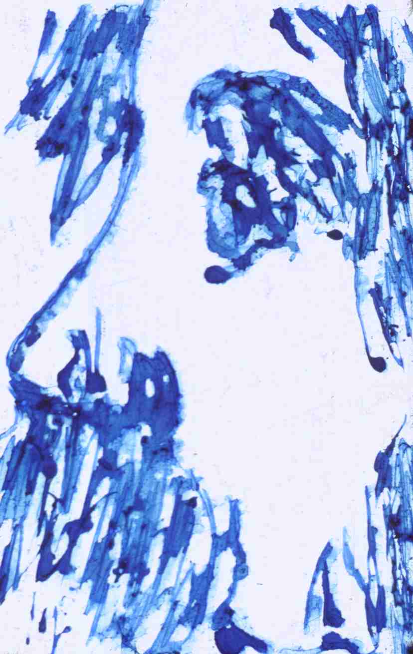 154.jpg