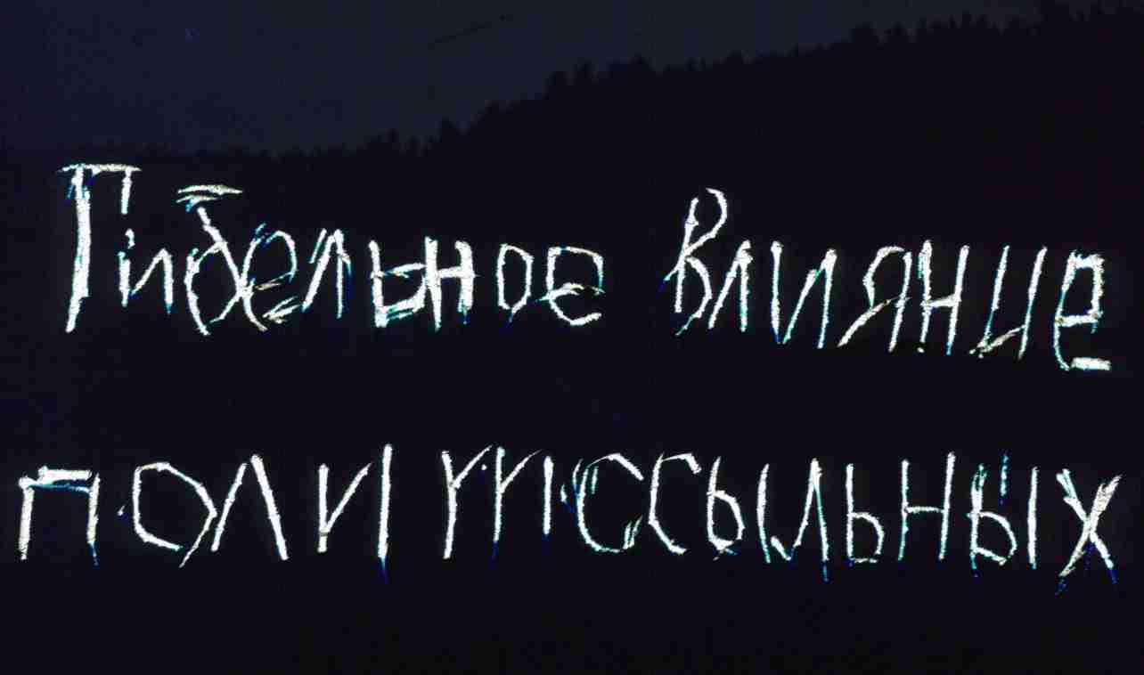 166.jpg