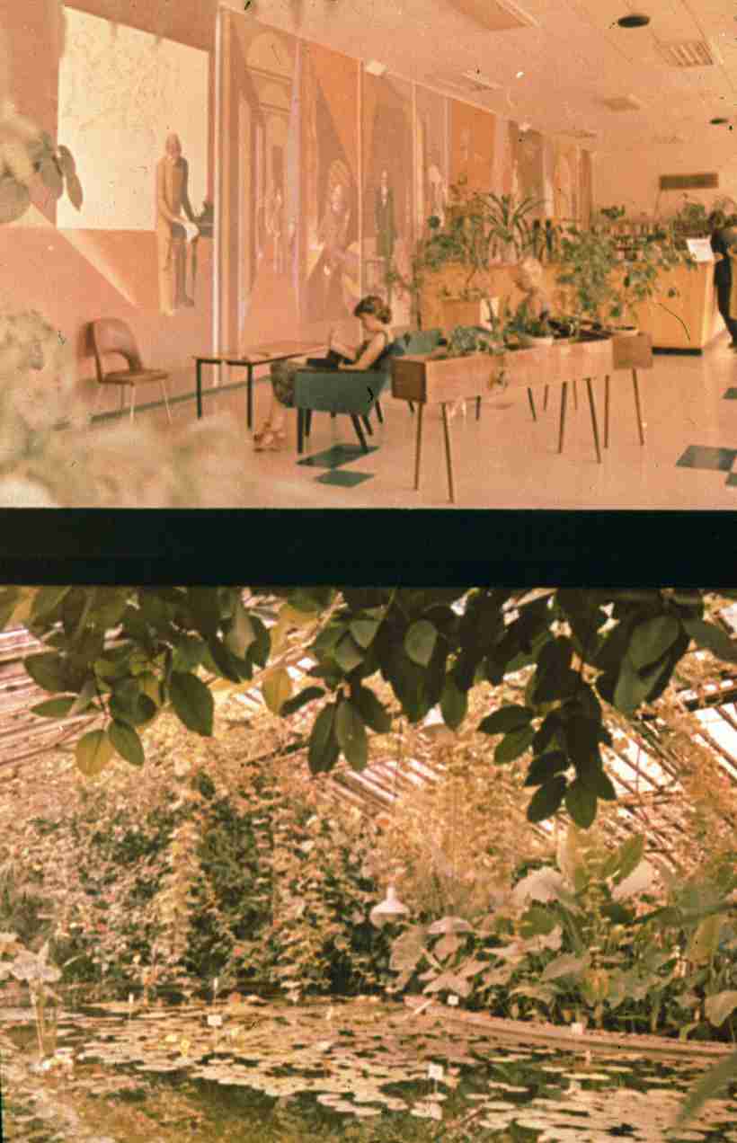 178-1.jpg