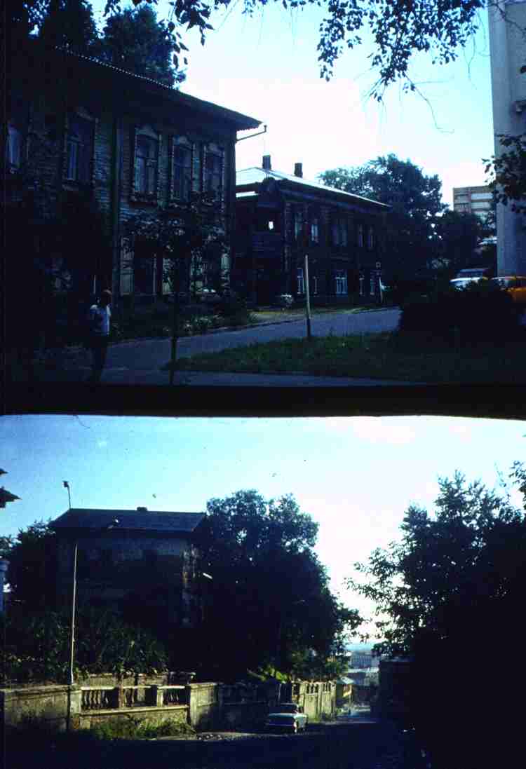 203.jpg