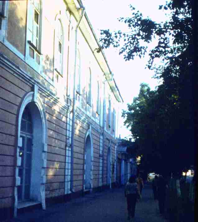 235.jpg