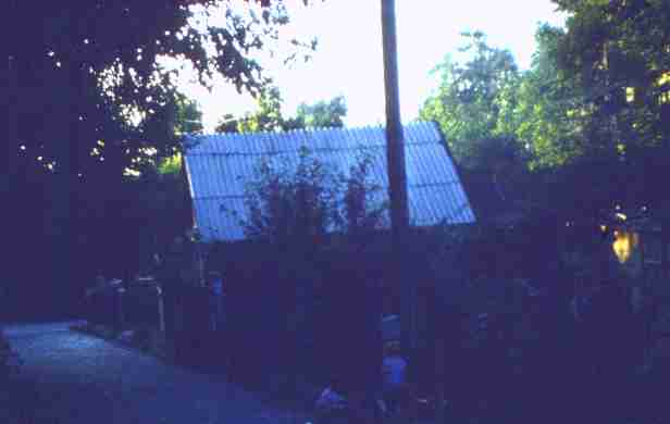 241.jpg