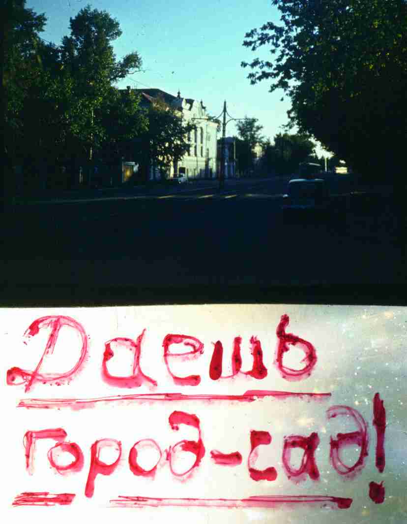 248.jpg
