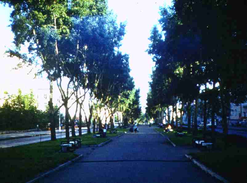 255.jpg