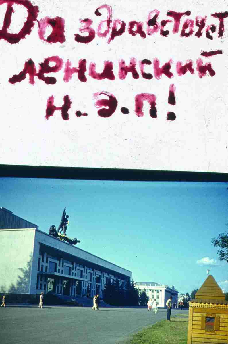 260.jpg