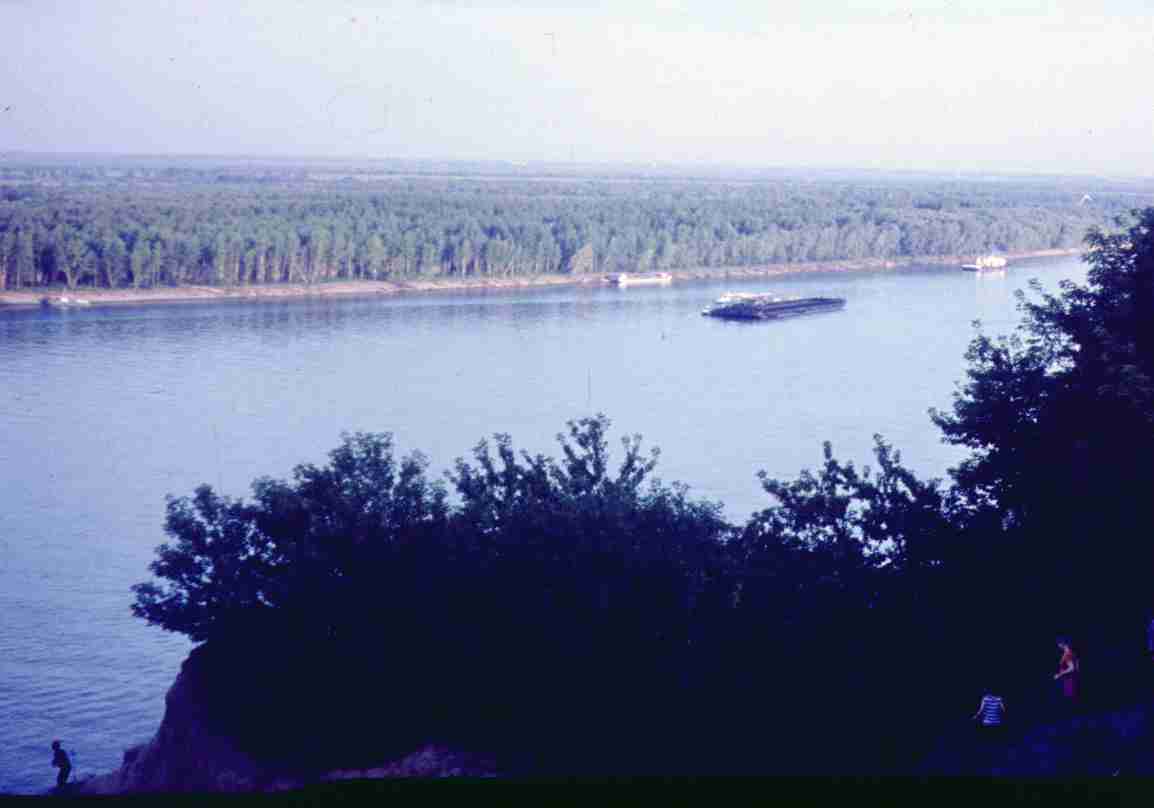 271.jpg