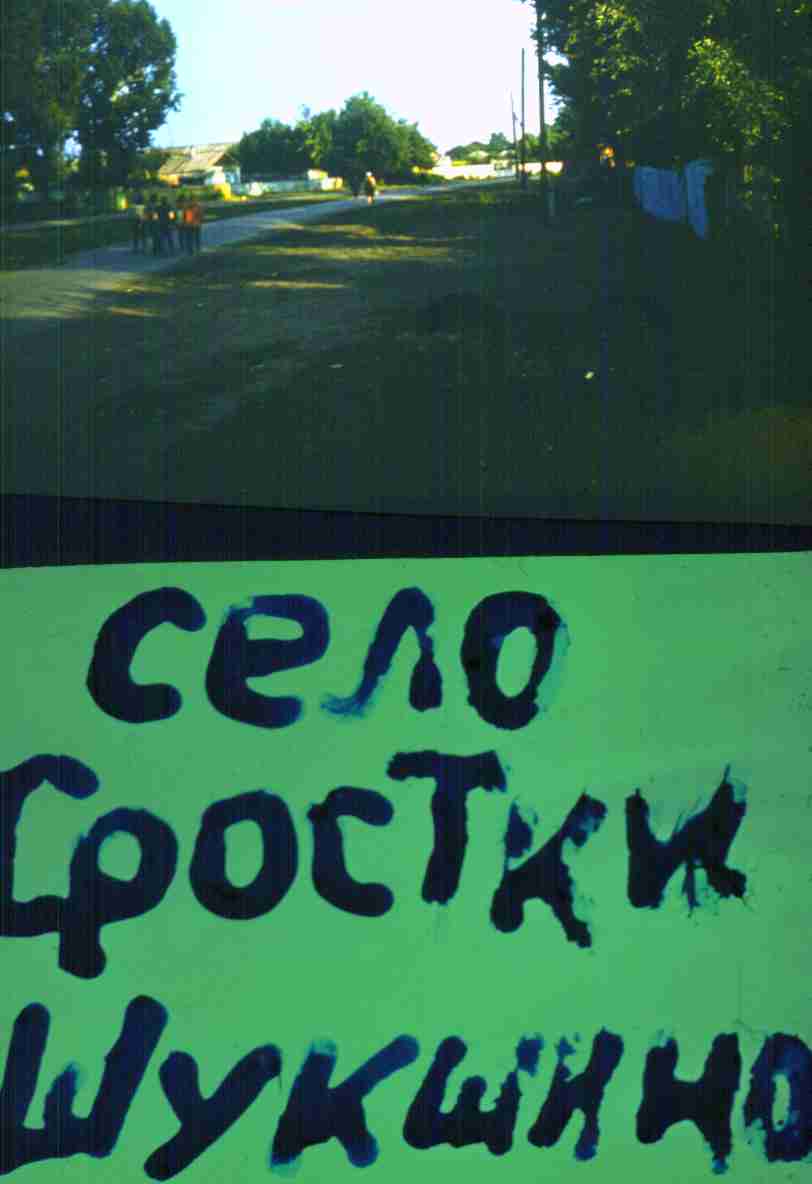 287.jpg