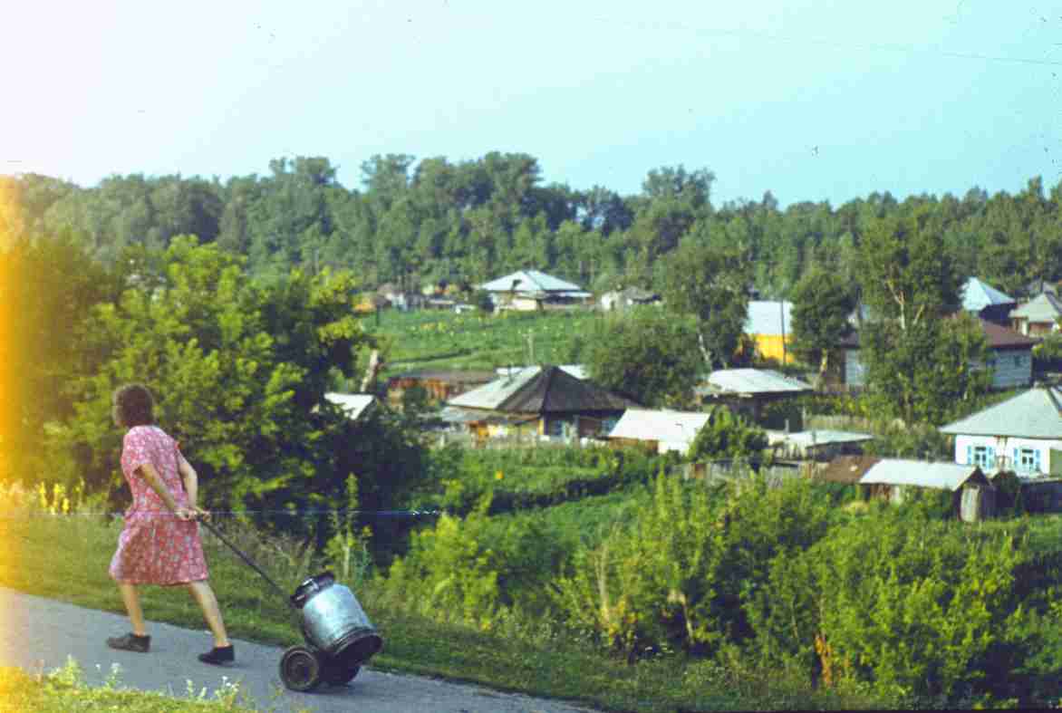 291.jpg