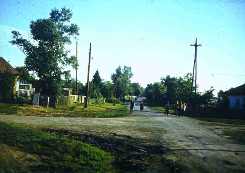 297.jpg