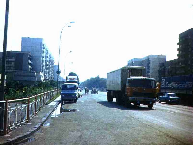 006.jpg